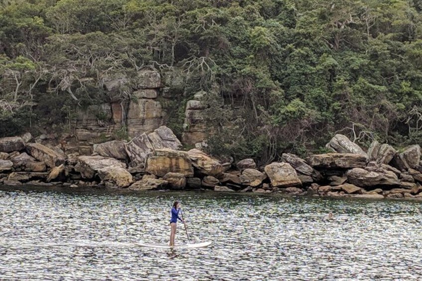 Paddleboarder at Shelly Beach