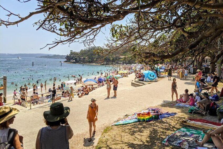 Harbour beaches where the locals go