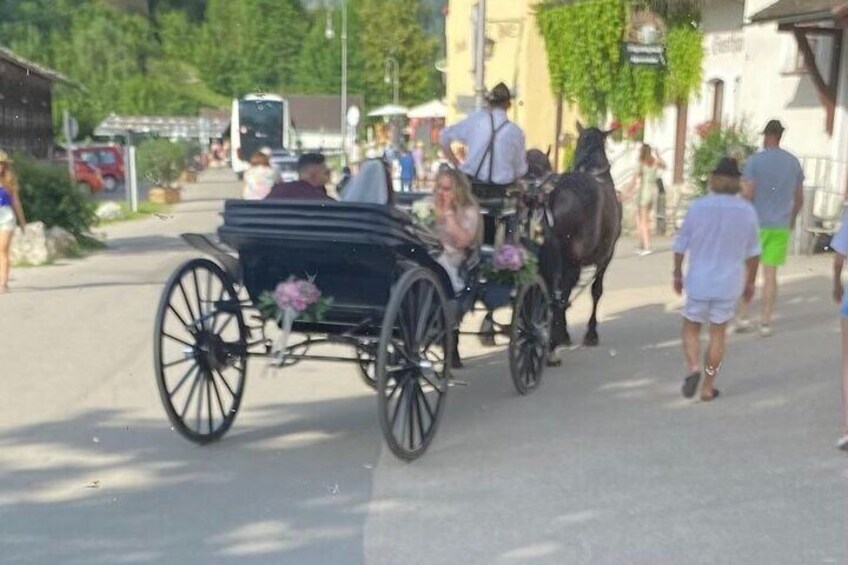 Horse drawn carriage