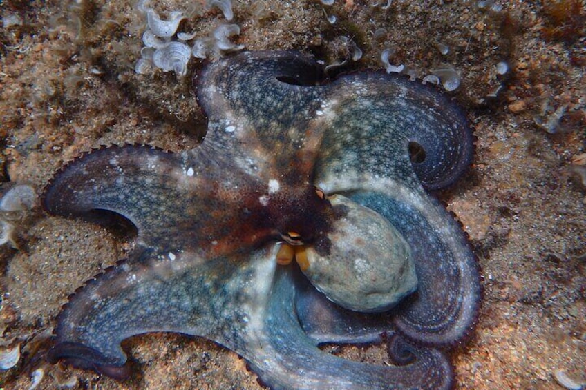 Underwater world