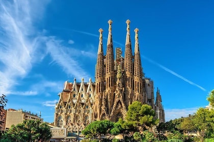 Barcelona en un día: Sagrada Familia, Parque Güell y el casco antiguo con r...