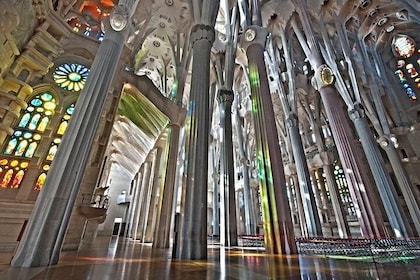 Tour privato di Barcellona con biglietto d'ingresso saltafila alla Sagrada ...