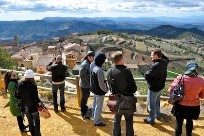 Priorat Wineries Tour with Wine Tastings and Lunch from Barcelona