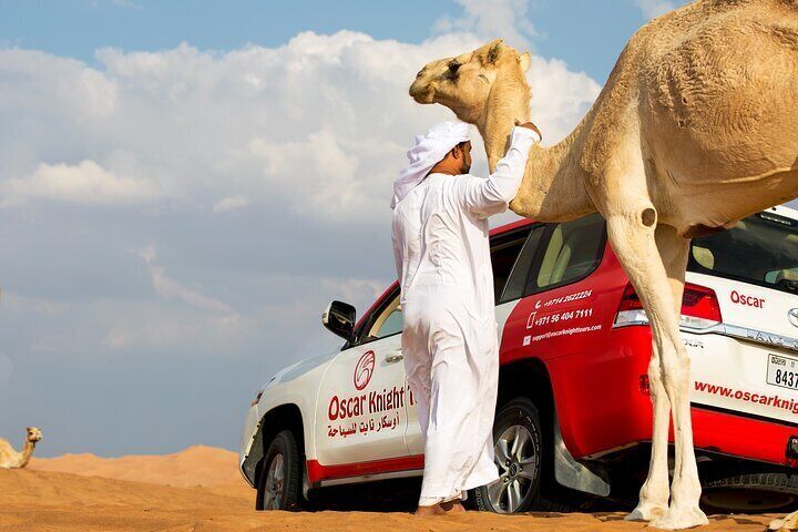 Sunset Camel Trekking Safari with Falcon Show & VIP BBQ Dinner