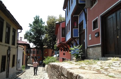 Private Day Trip to Plovdiv and Bachkovo Monastery 