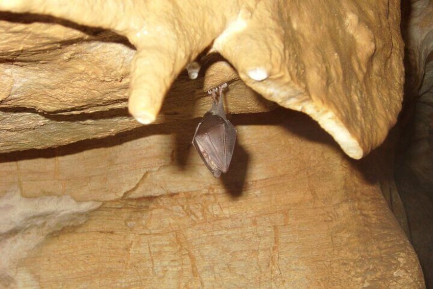 Private Cave Walking Tour in Budapest