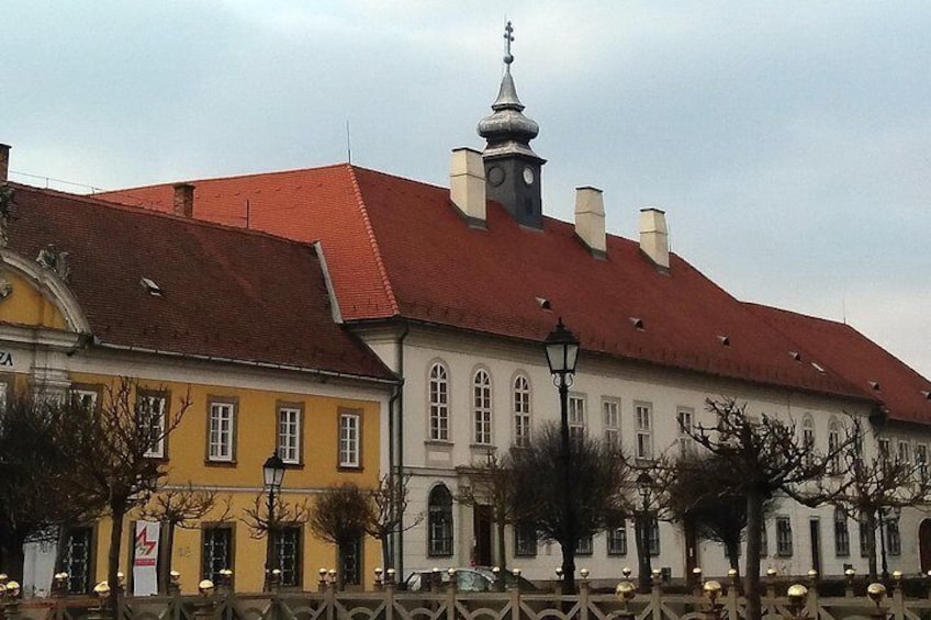 Private tour in Vác by local guide - Magical vibe of an charming baroque town