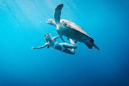 Gili Island Snorkelling Trip - Gili Trawangan, Gili Meno, & Gili Air, From ...