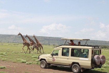 6 Days Serengeti Safari(hiking waterfalls &coffee tour)