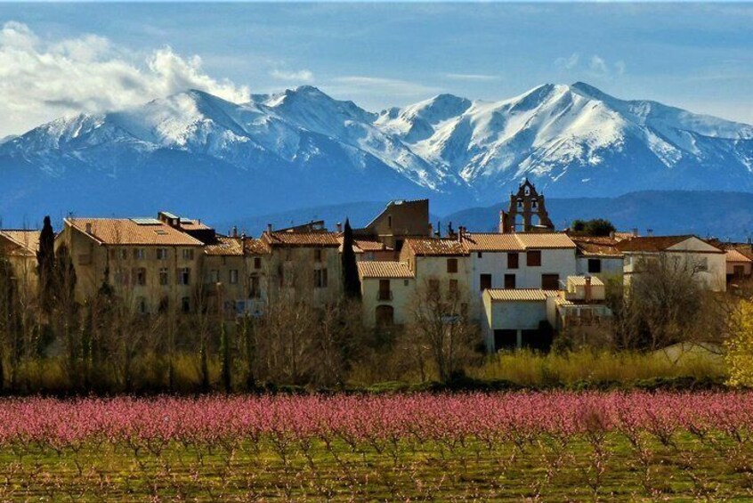 Pyrenees