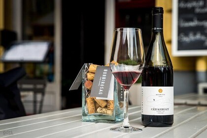 Private Wine Tour through the heart of Budapest