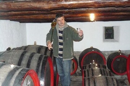 Private wine tasting and sightseeing in the historic towns of Eger and Gyon...