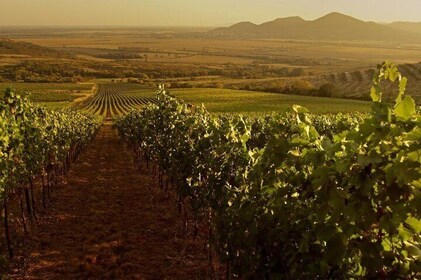 Grand tour de dégustation de vins d'Eger et de Tokaj