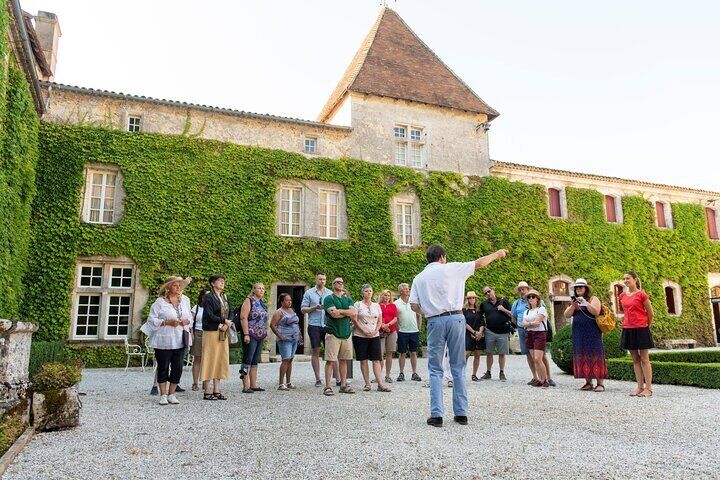 Half-Day Wine tour across Bordeaux’s Vineyards