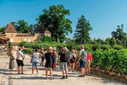 Weinberge von Bordeaux Wein-Verkostung - Halbtägiger Ausflug