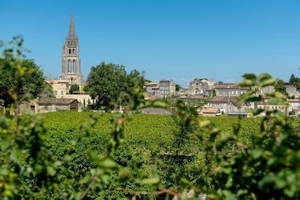 Saint-Emilion Day Trip from Bordeaux with Château Wine Tastings & Lunch