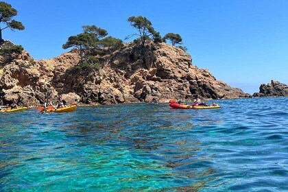 Kayaking and Snorkelling tour to Costa Brava (Platja d Aro to Cap Roig)