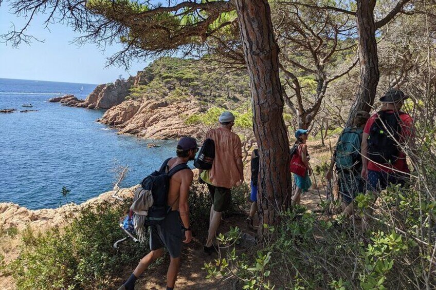 Camino Ronda
