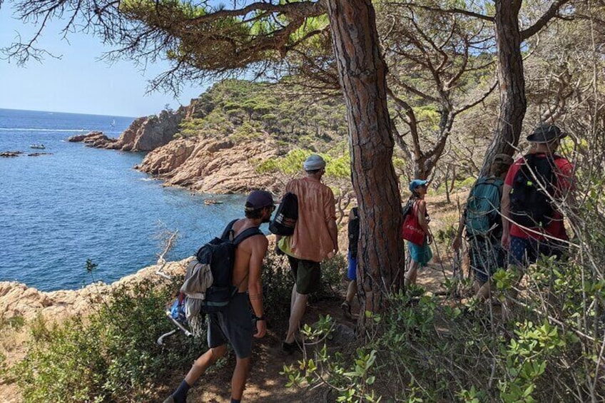 Camino Ronda