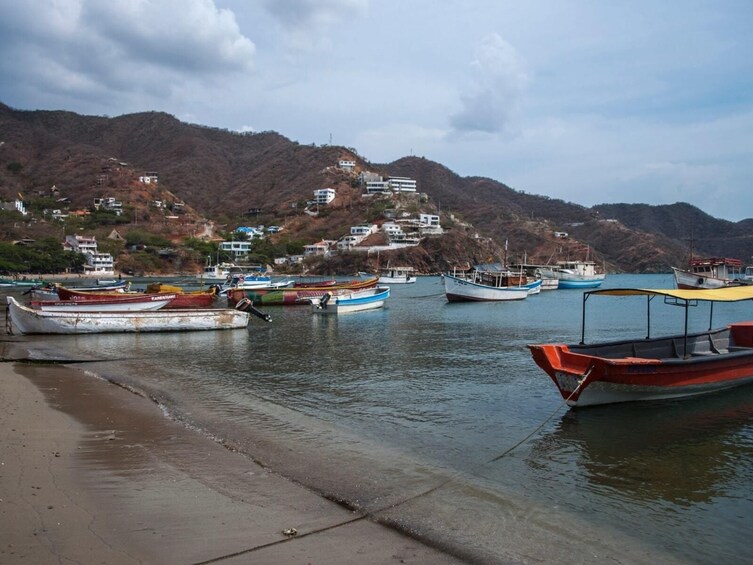 Full Day Minca and Taganga from Santa Marta