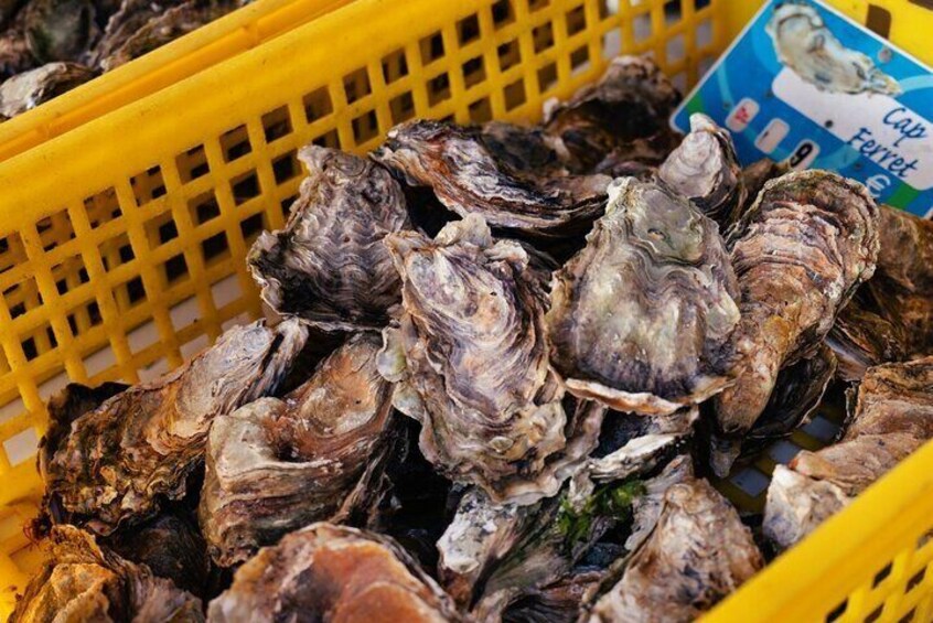 Arcachon Bay Full Day Trip from Bordeaux with lunch and Pyla Dune