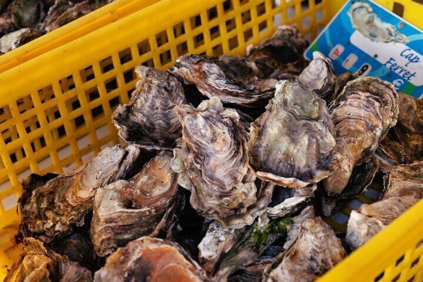 Arcachon Bay Full Day Trip from Bordeaux with lunch and Pyla Dune