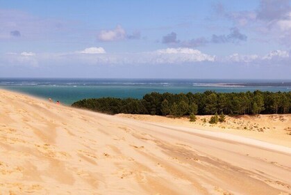 Arcachon - Halbtägiger Ausflug von Bordeaux, einschließlich Pyla-Düne und A...