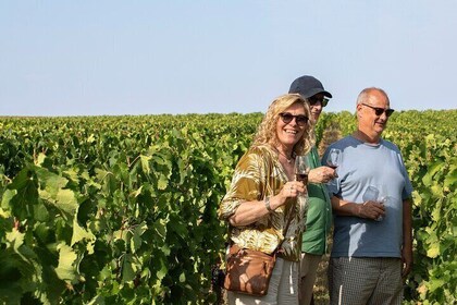 Medoc Small-Group Wine Tour with Tastings & Chateau Visits from Bordeaux
