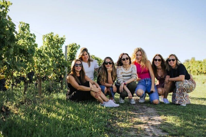 Saint-Emilion Winery Morning Tour with Local Guide