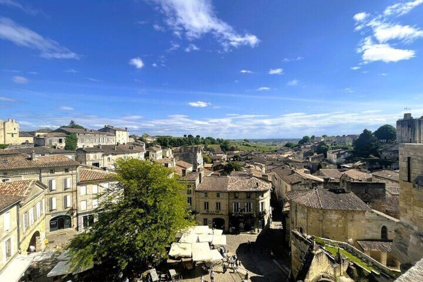 Saint-Emilion Winery Morning Tour with Local Guide