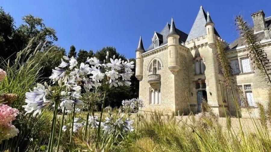 Saint-Emilion Winery Morning Tour with Local Guide