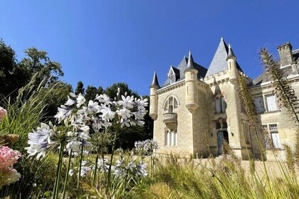 Saint-Emilion Winery Morning Tour with Local Guide