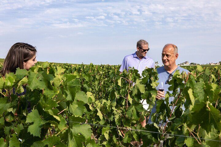 Saint-Emilion Winery Morning Tour with Local Guide