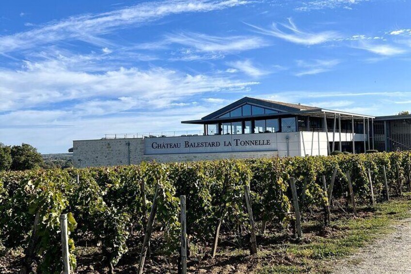 Saint-Emilion Winery Morning Tour with Local Guide