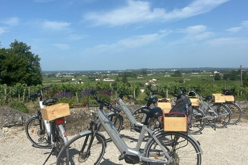 Saint-Emilion Small-Group Electric Bike Wine Tour Tastings & Lunch from Bordeaux