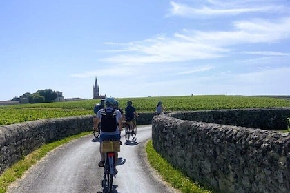 Tour per piccoli gruppi di Saint-Émilion da Bordeaux che include degustazio...