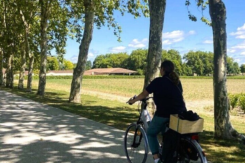 Saint-Emilion Small-Group Electric Bike Wine Tour Tastings & Lunch from Bordeaux