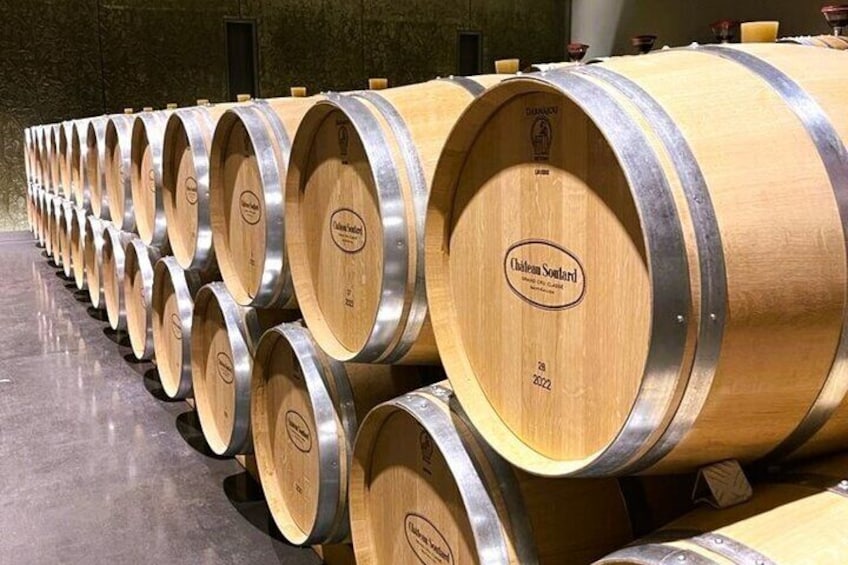 Bordeaux Full day Medoc and St Emilion Wine Tour with Lunch
