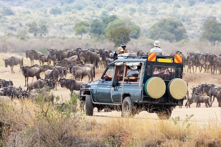 5 Days Serengeti Camping Safari