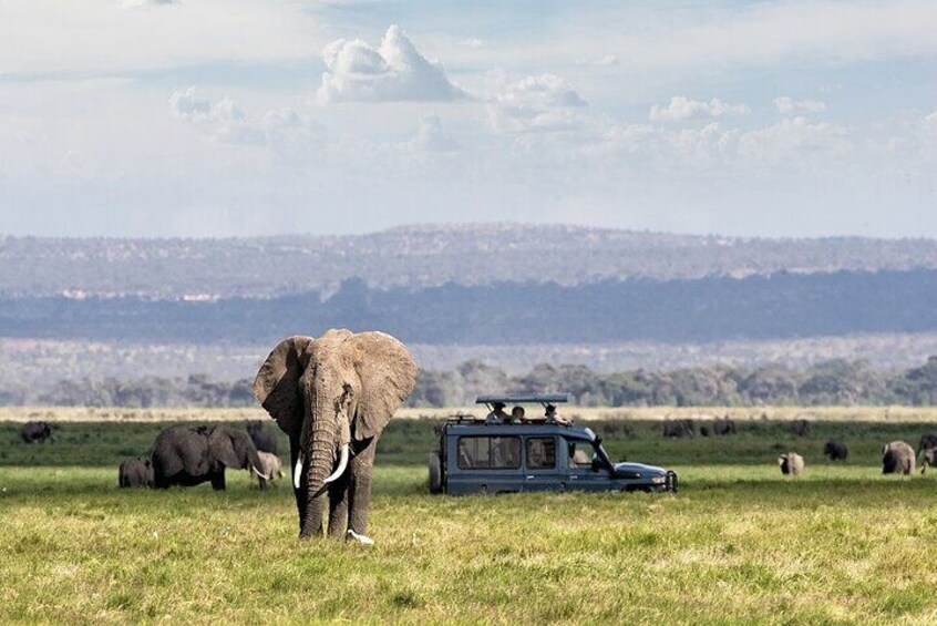 5 Days Serengeti Camping Safari
