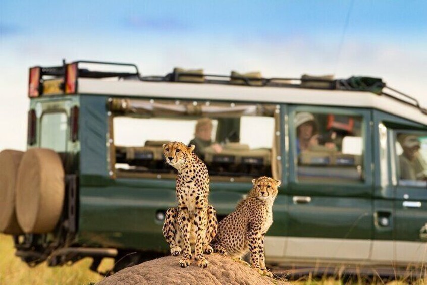 5 Days Serengeti Camping Safari