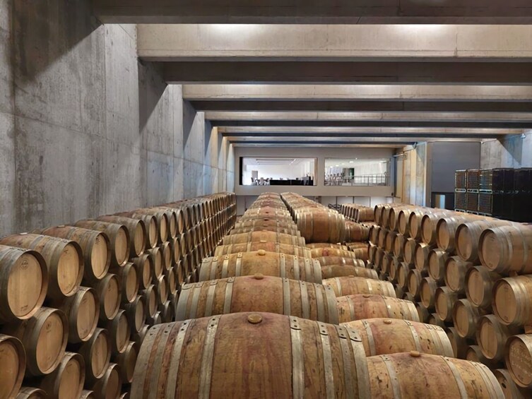 Rioja: Guided Visits to Vineyards and Bodegas
