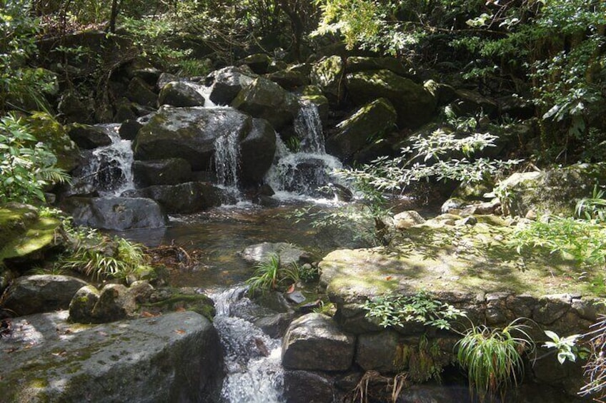 Small Group Hike to Ma On Shan Highland