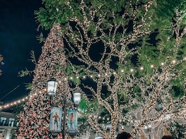 Christmas Market and Christmas Lights in Charming Pasadena