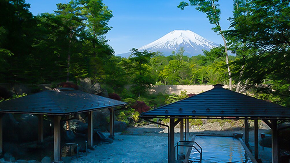 Onsen with Mount Fuji View (Private Experience Without Guide