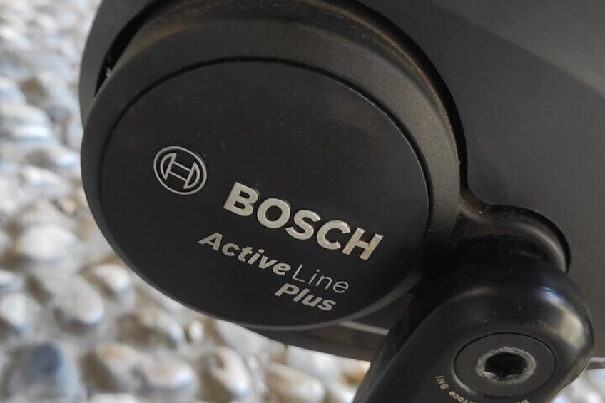 Bosch Engine and Battery