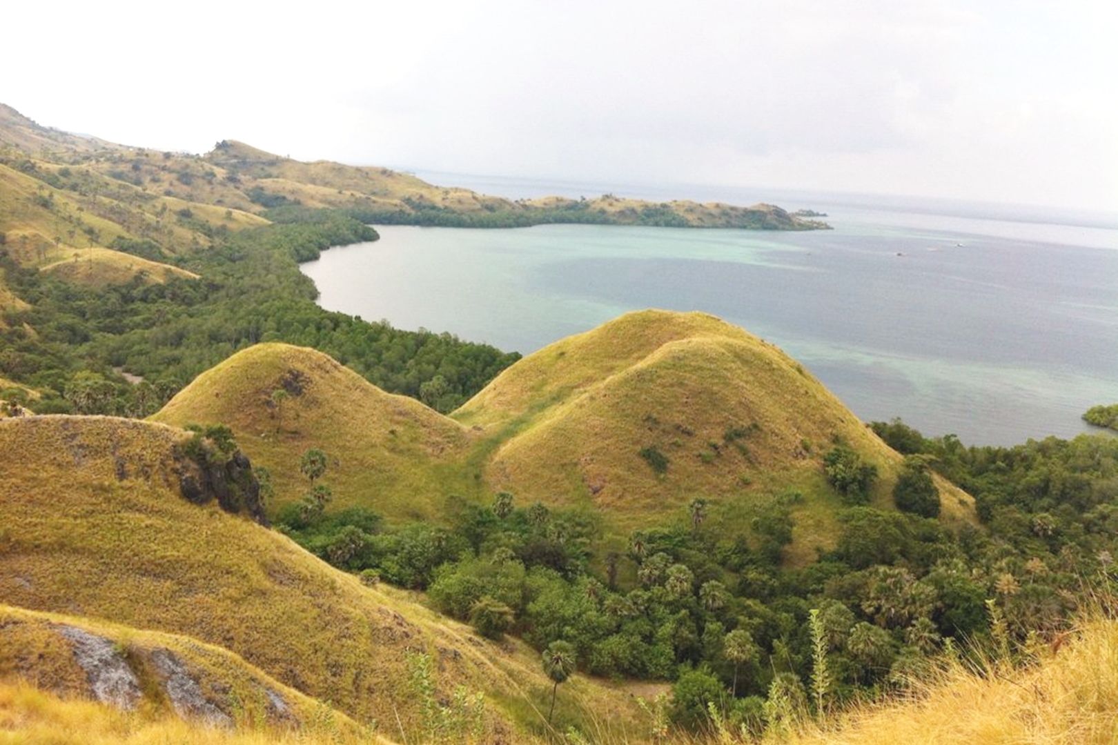 10 Top Things To Do In Labuan Bajo 2020 Attraction And Activity Guide