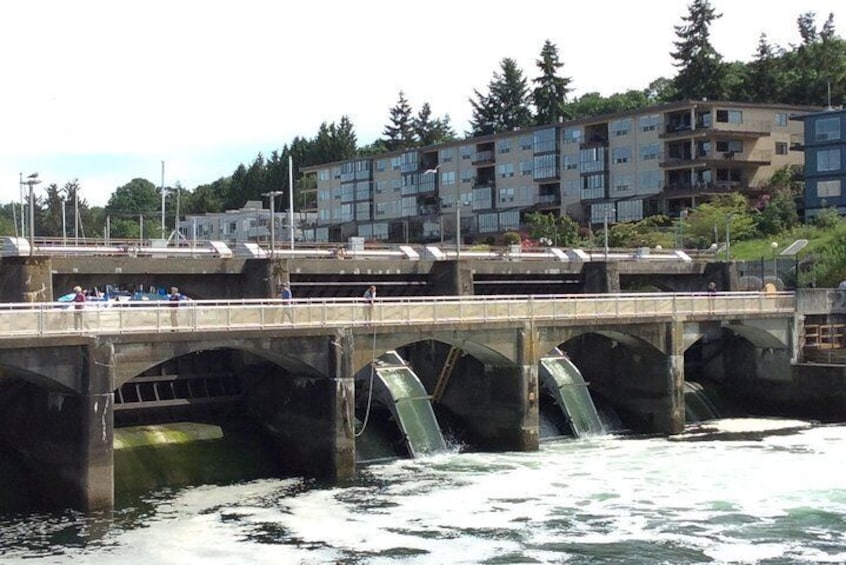 Seattle Ballard Locks, Gas Works Park and Houseboats Tour