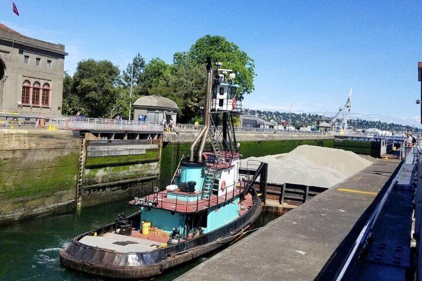 Seattle Ballard Locks, Gas Works Park and Houseboats Tour