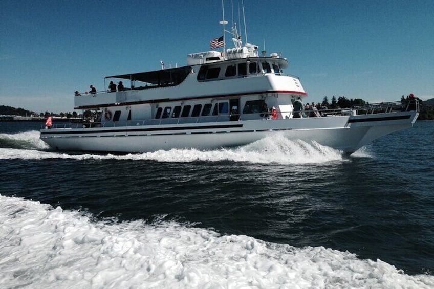 whale tour friday harbor